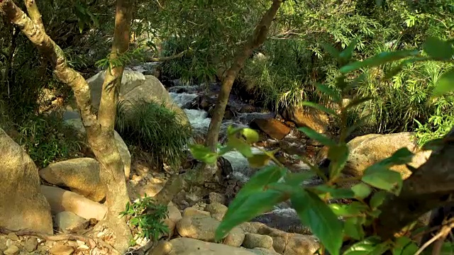 雨林景观上的河流。山区热带森林石溪湍急的水流。封闭的水在山河中流动。热带植物在多石的河岸视频素材