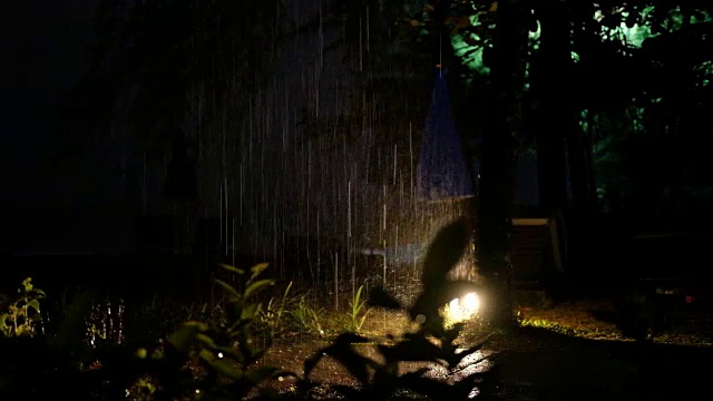 热带暴雨、雷暴、闪电视频下载