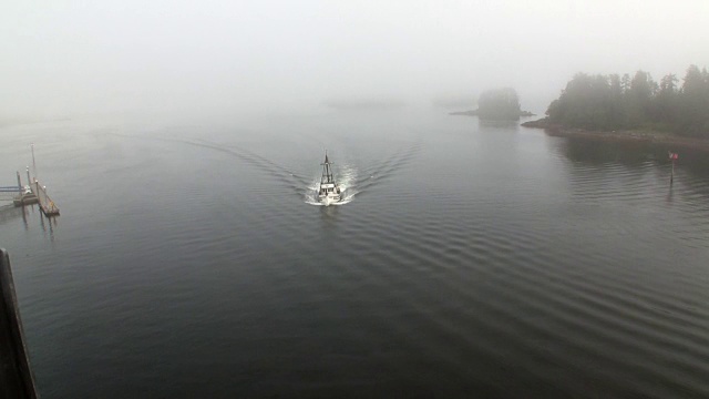 在阿拉斯加的背景海岸，一艘游艇在平静的太平洋上航行。视频素材