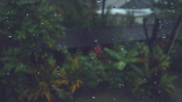 慢镜头:小小的雨点向郁郁葱葱的热带后院落下。视频素材