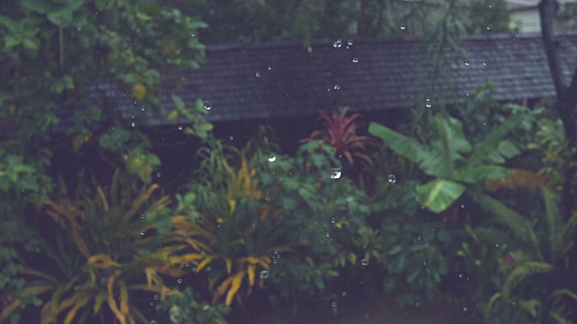 慢镜头:暴雨冲刷着被热带植物包围的黑色屋顶。视频素材