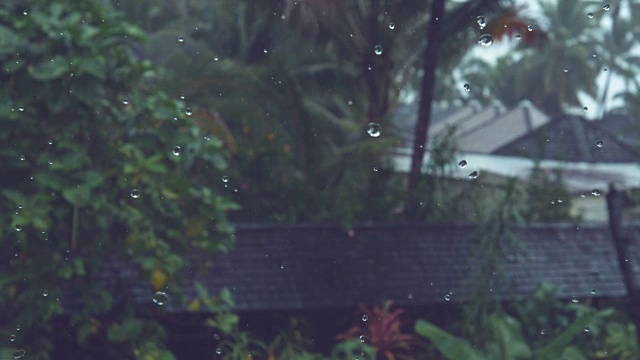 慢镜头:热带暴雨落在黑色的屋顶和奇异的植物上。视频素材