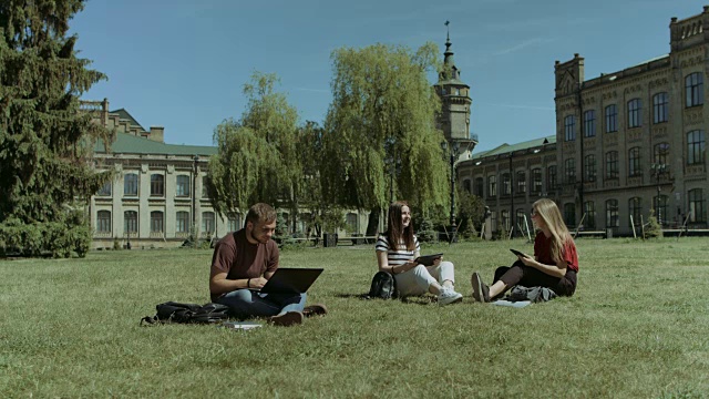 一群大学生在校园草坪上学习视频素材