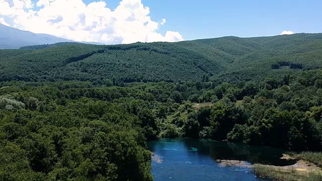 森林和湖水清澈视频素材