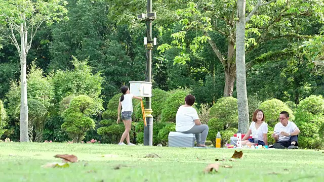 在公园的家庭野餐中玩得很开心视频素材