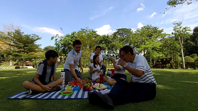 在公园野餐快乐视频素材