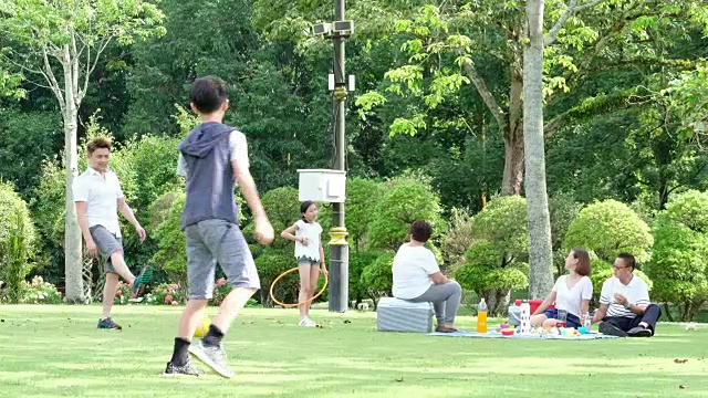 一家人在公园野餐视频素材