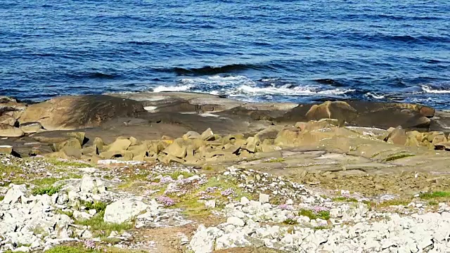 平静的海浪拍打着多岩石的海岸视频下载