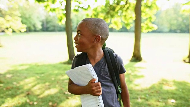 小男孩在公园里给学生画像视频素材