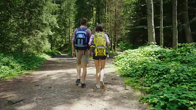 后视图:背着背包的朋友们沿着森林里的一条小路走。活跃的年轻人在徒步旅行视频素材