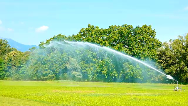 洒水器在绿油油的田野与树木视频素材