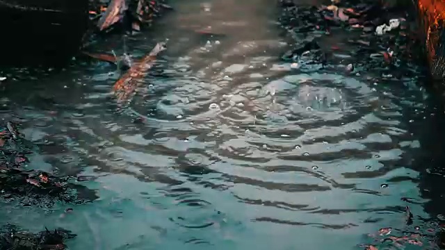 雨水滴视频素材