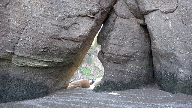 从海岸岩石看加拿大视频素材