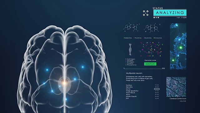 脑部扫描界面视频下载