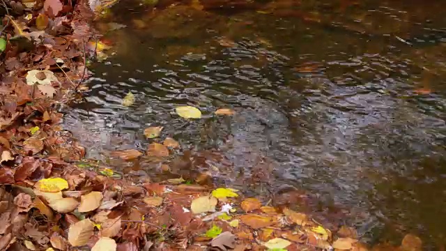 时间流逝。秋天，树叶和水在旋转。伊尔瑟河，伊尔瑟河谷，伊尔森堡，萨克森-安哈尔特，哈尔茨，哈尔茨山，德国。视频素材