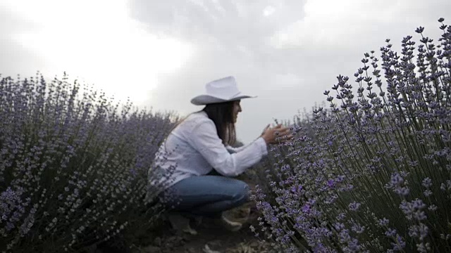 一个年轻的农妇穿过薰衣草田的慢镜头。视频素材