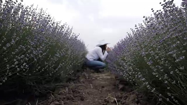 一个年轻的农妇穿过薰衣草田的慢镜头。视频素材