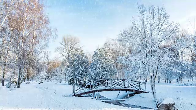 美丽的冬季贺卡与慢动作雪花在城市公园的第一雪与树下在新雪在日出。桥在一个晴朗的日子在冬季城市公园。视频素材