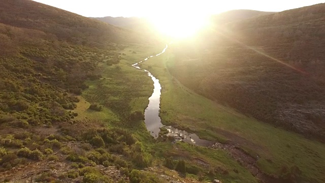 飞行在Tejera Negra山毛榉森林视频素材