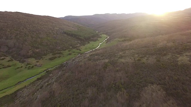 在Tejera Negra山毛榉森林飞行视频素材