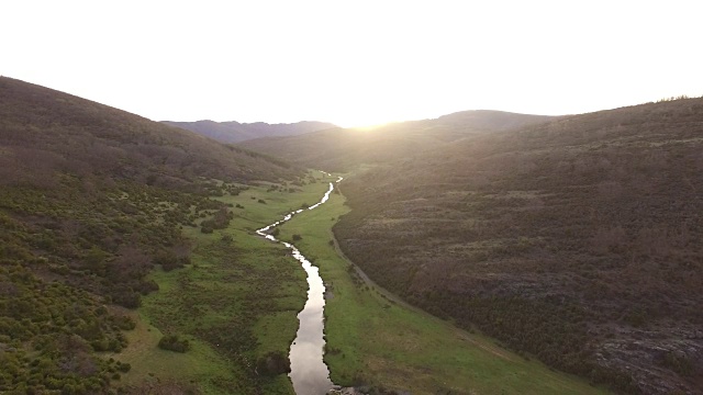 在Tejera Negra山毛榉森林飞行视频素材