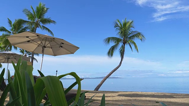 美丽的豪华酒店躺椅休息在令人窒息的热带海滩视频素材