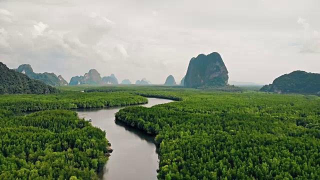 泰国普吉岛的红树林视频素材