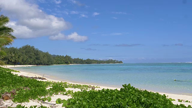 天堂岛海岸正在被游客和在海洋中浮潜的人探索。视频素材