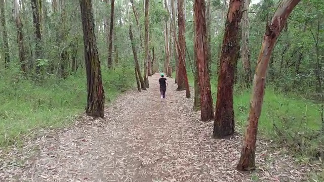 在森林里慢跑的女人。视频下载