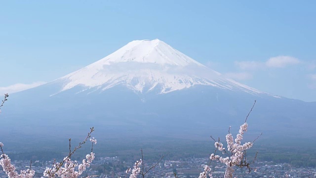 富士山上樱花盛开(向上倾斜)视频素材