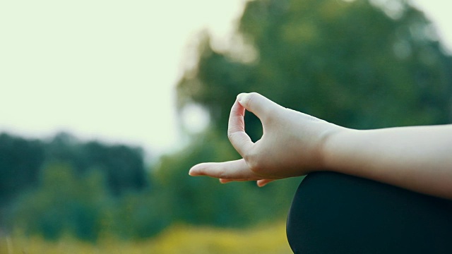 在公园里做瑜伽的女人视频素材