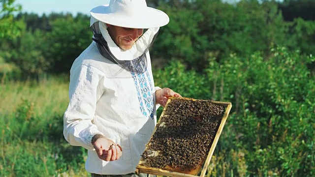 养蜂人在养蜂场里处理蜜蜂和蜂箱。视频素材