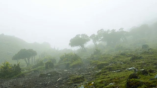 萨尔坎泰山脉徒步旅行视频素材