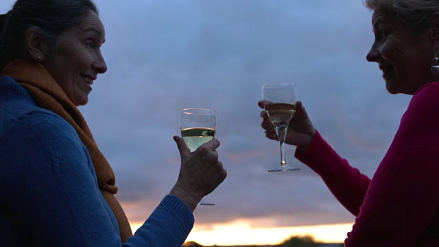 成熟的女人会分享一杯酒视频下载