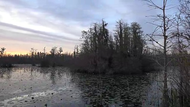 佐治亚州奥克弗诺基太阳下沉，船经过沼泽。莫夫视频素材