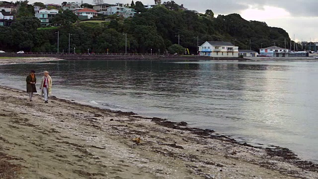 老年妇女在海边散步视频下载