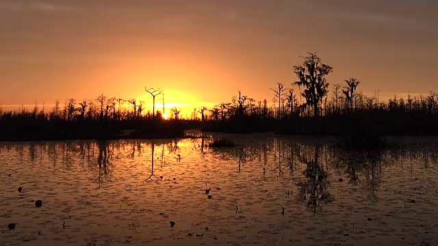 佐治亚州奥克弗诺基在太阳沉入地平线后变焦视频素材