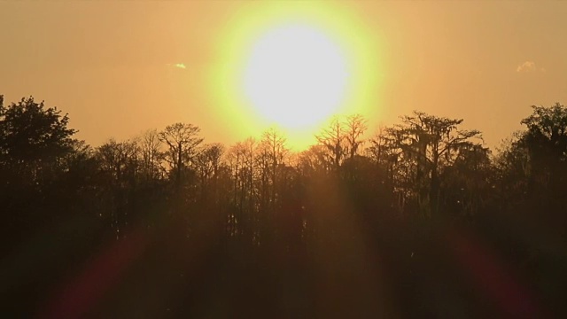 佐治亚州奥克弗诺基沼泽，夕阳斜照视频素材