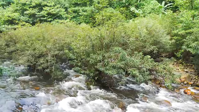 4K美丽的自然瀑布溪流视频素材