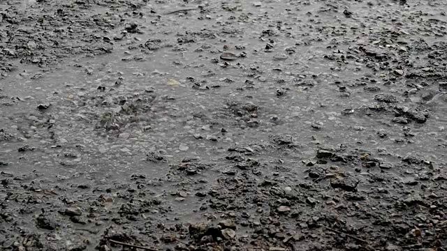 路上大雨的特写镜头/雨路视频素材