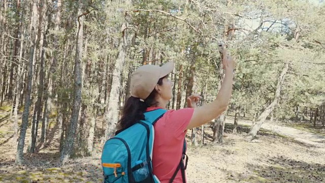 年轻的迷路女人用智能手机在森林里寻找方向。女孩在自然中使用智能手机。徒步旅行者年轻女子背包在夏天的森林。他观察gps地图信号。视频素材