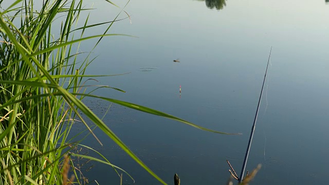 钓鱼时在水中放置钓竿的浮子。水中的浮子表明鱼在上钩。浮子沉到水下。视频素材