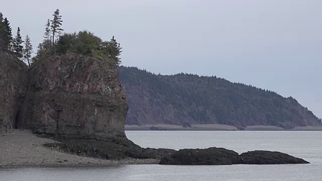 加拿大芬迪湾海岸近景视频素材