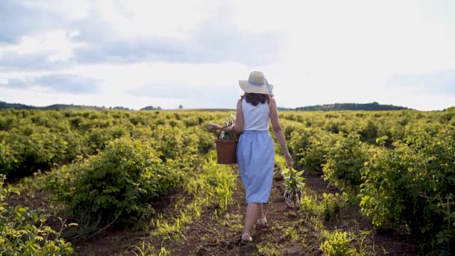 穿着衣服的女人走在植物地里视频素材