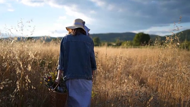 在麦田里欣赏夕阳视频素材