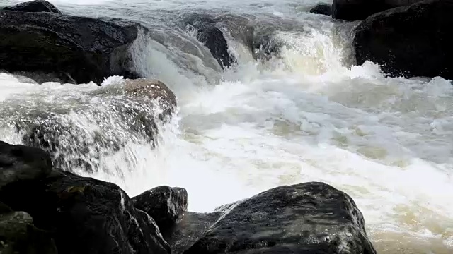 热带森林中一条小河中水流的缓慢运动。视频素材