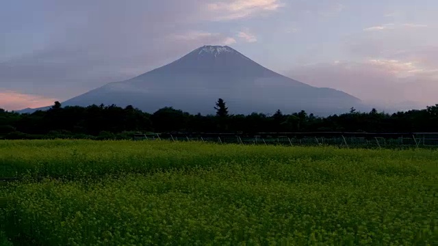 富士山上的油菜花田视频素材