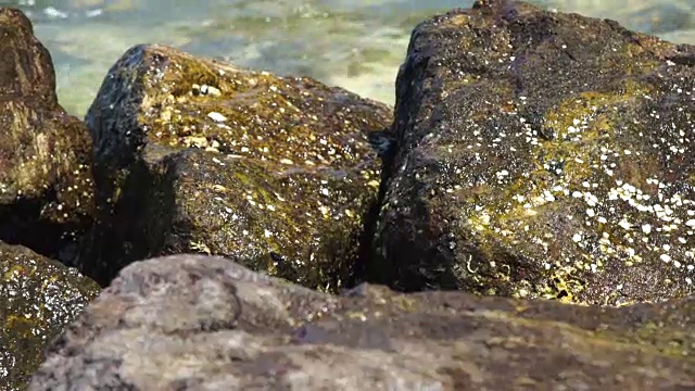 背景上的大石头激起海浪。海浪打破与溅在潮湿的岩石上的海滩多石的海岸和透明的海洋背景视频素材