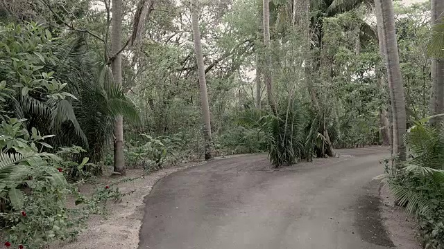 空中海滩和海岸视频素材