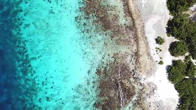 海滩海岸博内尔岛加勒比海视频视频素材